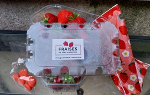 Tir aux fraises à Haramont