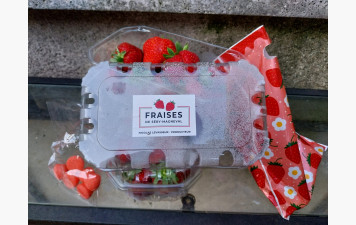Tir aux fraises à Haramont